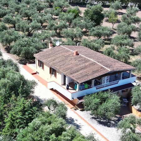 Апартаменти Rustico Degli Ulivi Орозей Екстер'єр фото
