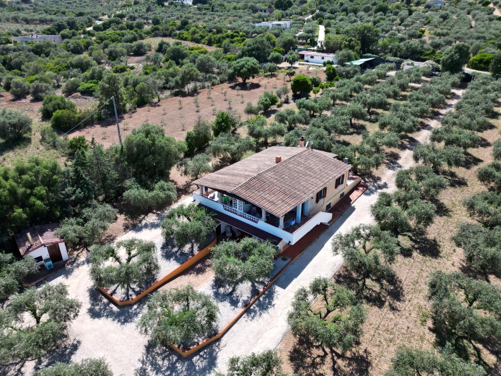 Апартаменти Rustico Degli Ulivi Орозей Екстер'єр фото